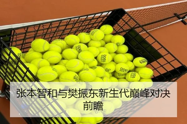 张本智和与樊振东新生代巅峰对决前瞻